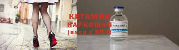 стаф Богданович